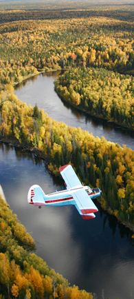 Biplane flying over forest.